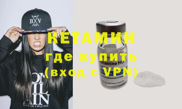 гидра Вязьма