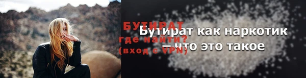 гидра Вязьма