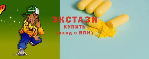 гидра Вязьма