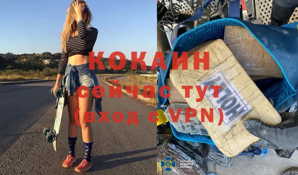 гидра Вязьма
