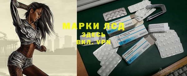 mdpv Вяземский